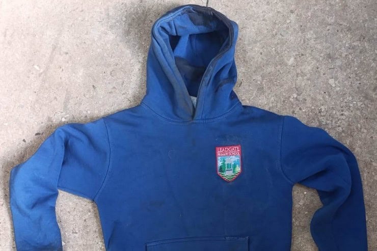 В Синельниківському районі невідомий автомобіль насмерть збив жінку: поліція розшукує свідків і встановлює особу загиблої