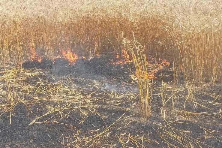 Три громади Синельниківського району зазнали обстрілів: пошкоджені будинки, дитсадок, СТО, адмінбудівля, гаражі, горіло поле з пшеницею